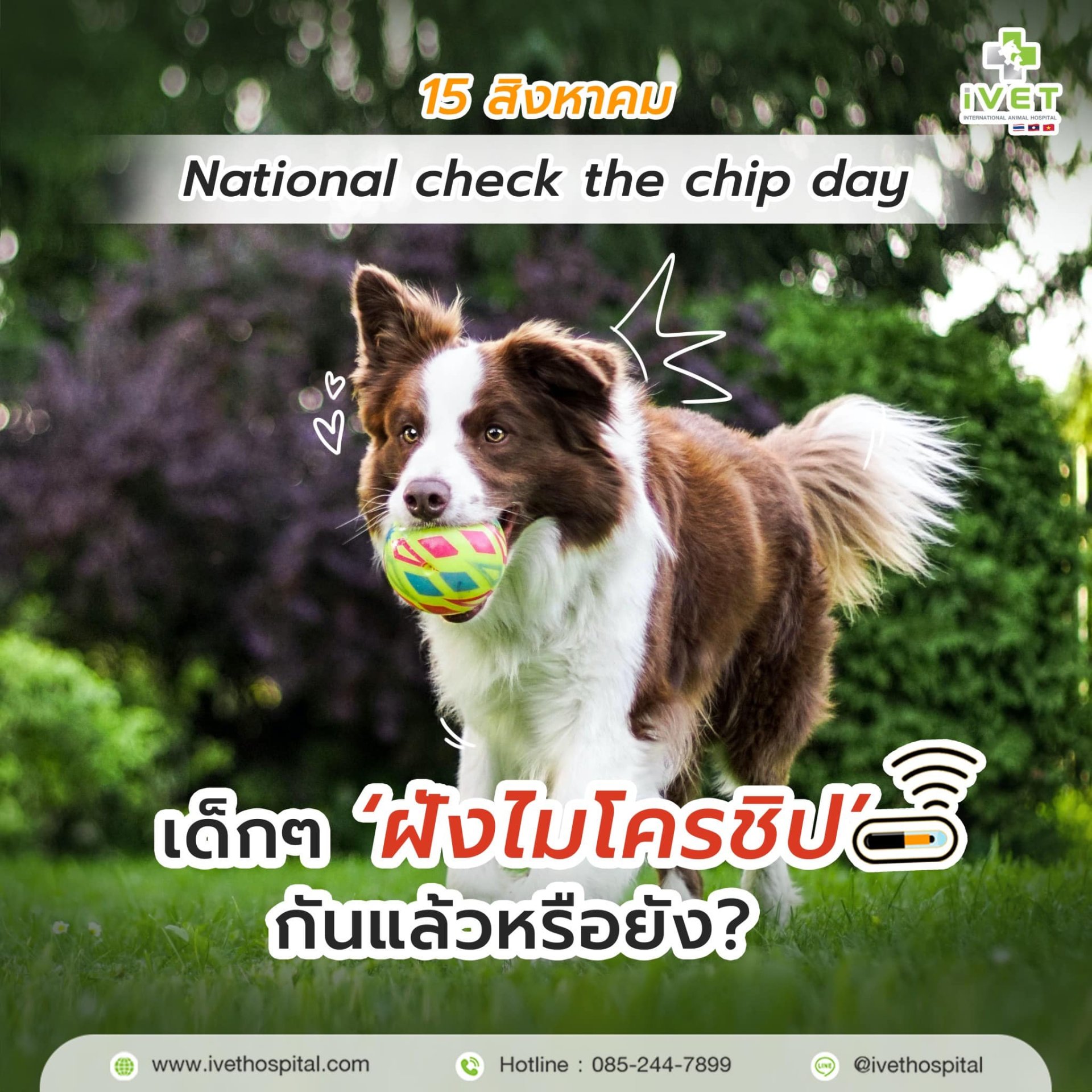 วันตรวจไมโครชิปในสัตว์เลี้ยงสากล หรือ National check the chip day วันตรวจไมโครชิปในสัตว์เลี้ยงสากล หรือ National check the chip day